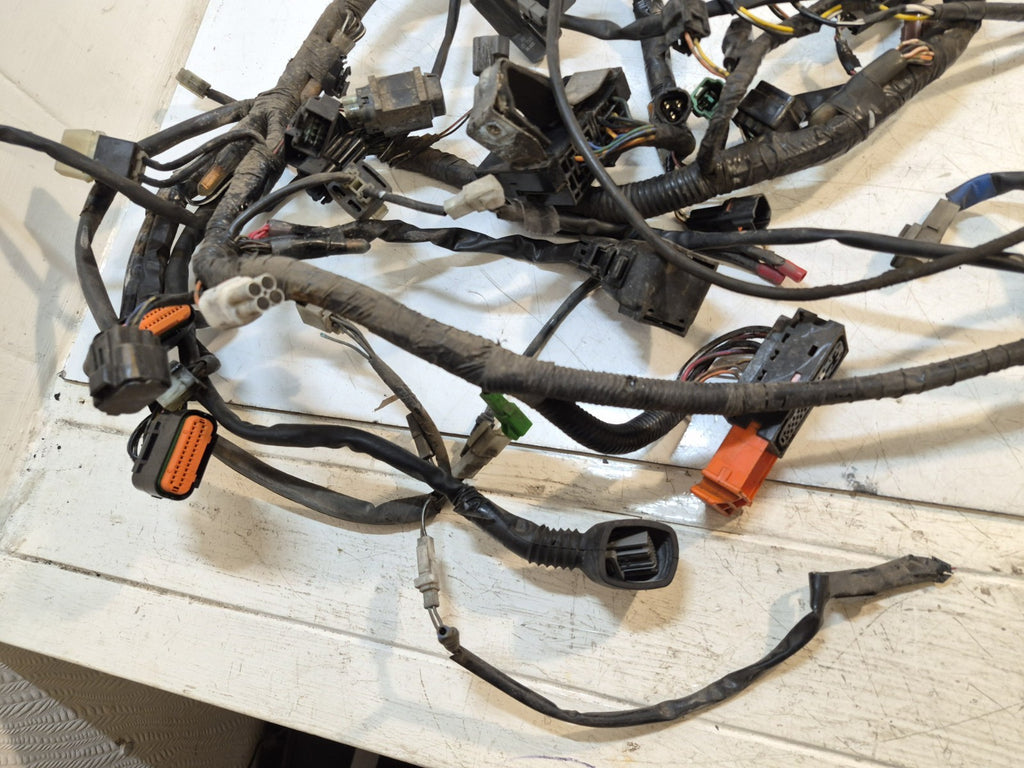 Suzuki GSF 1250 Bandit Loom / Wiring Harness