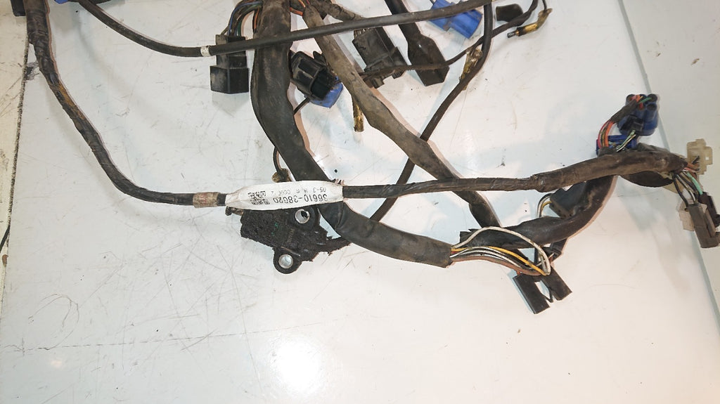 Suzuki GSF 650 Bandit Loom /Wiring Harness, ABS
