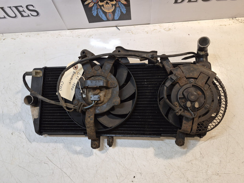 Suzuki GSF 1250 Bandit Radiator And Fans