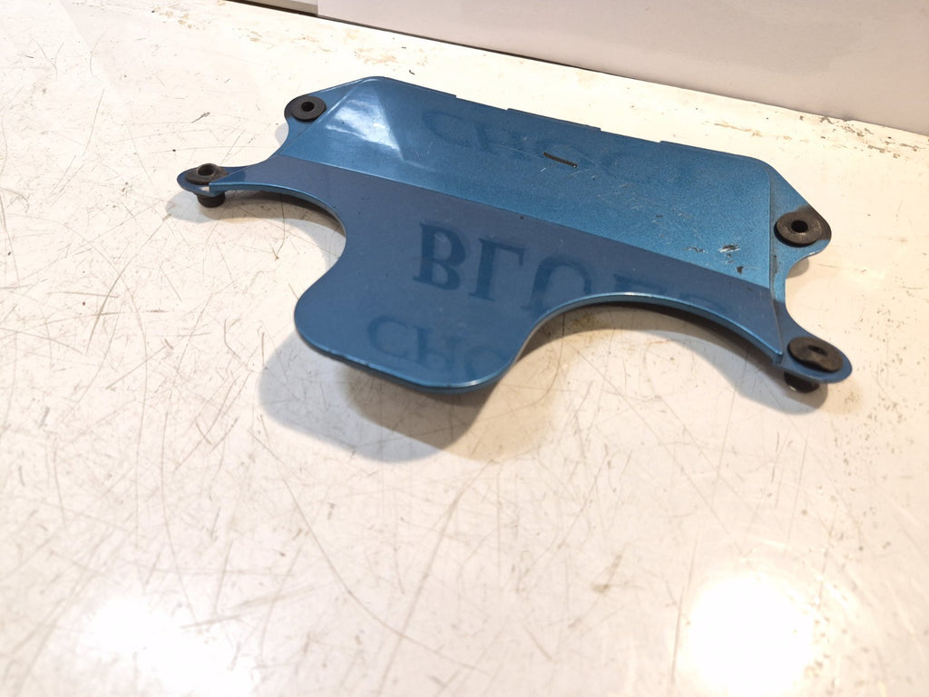Kawasaki ZZR 600 Fairing, Infill Panel