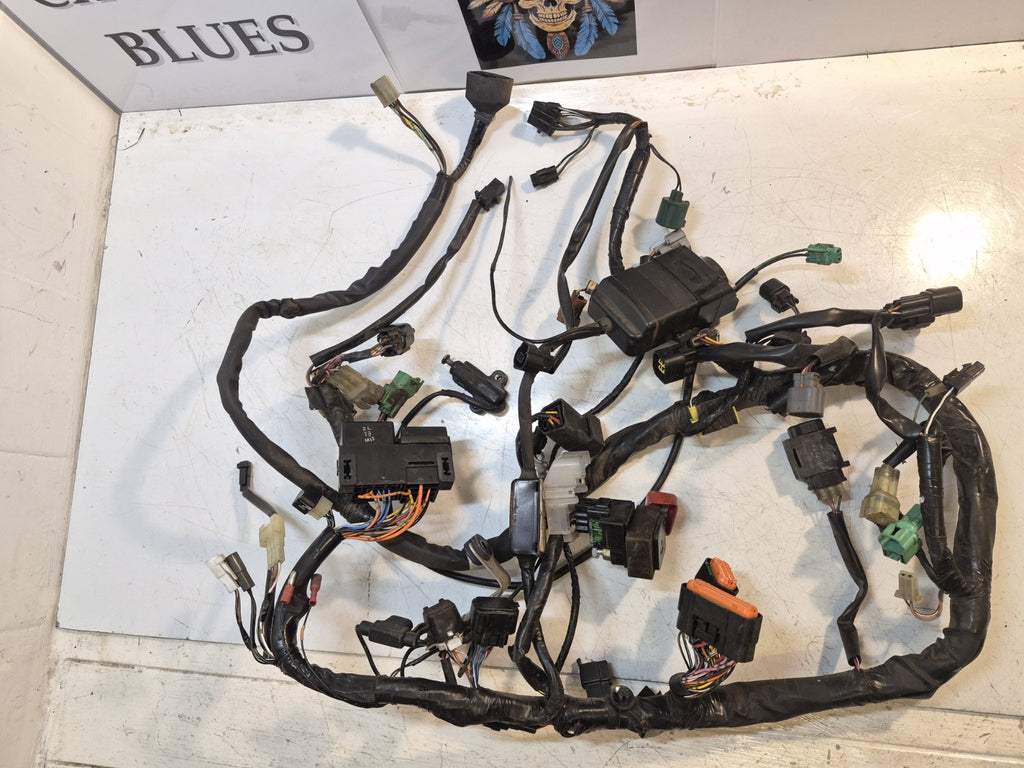 Suzuki SV 650s Gen 2 Loom/Wiring Harness
