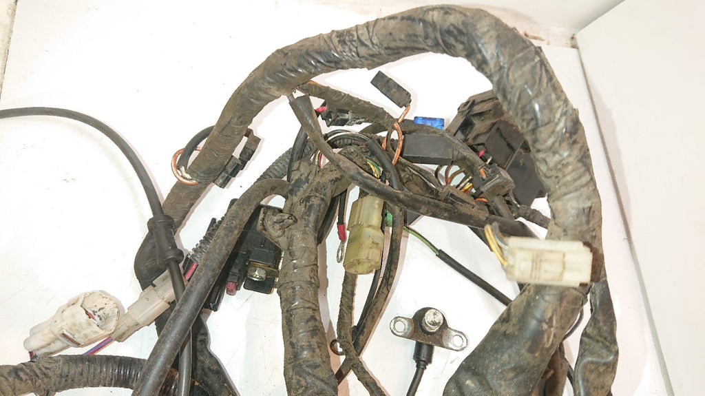 Suzuki GSF 650 Bandit Loom /Wiring Harness, ABS
