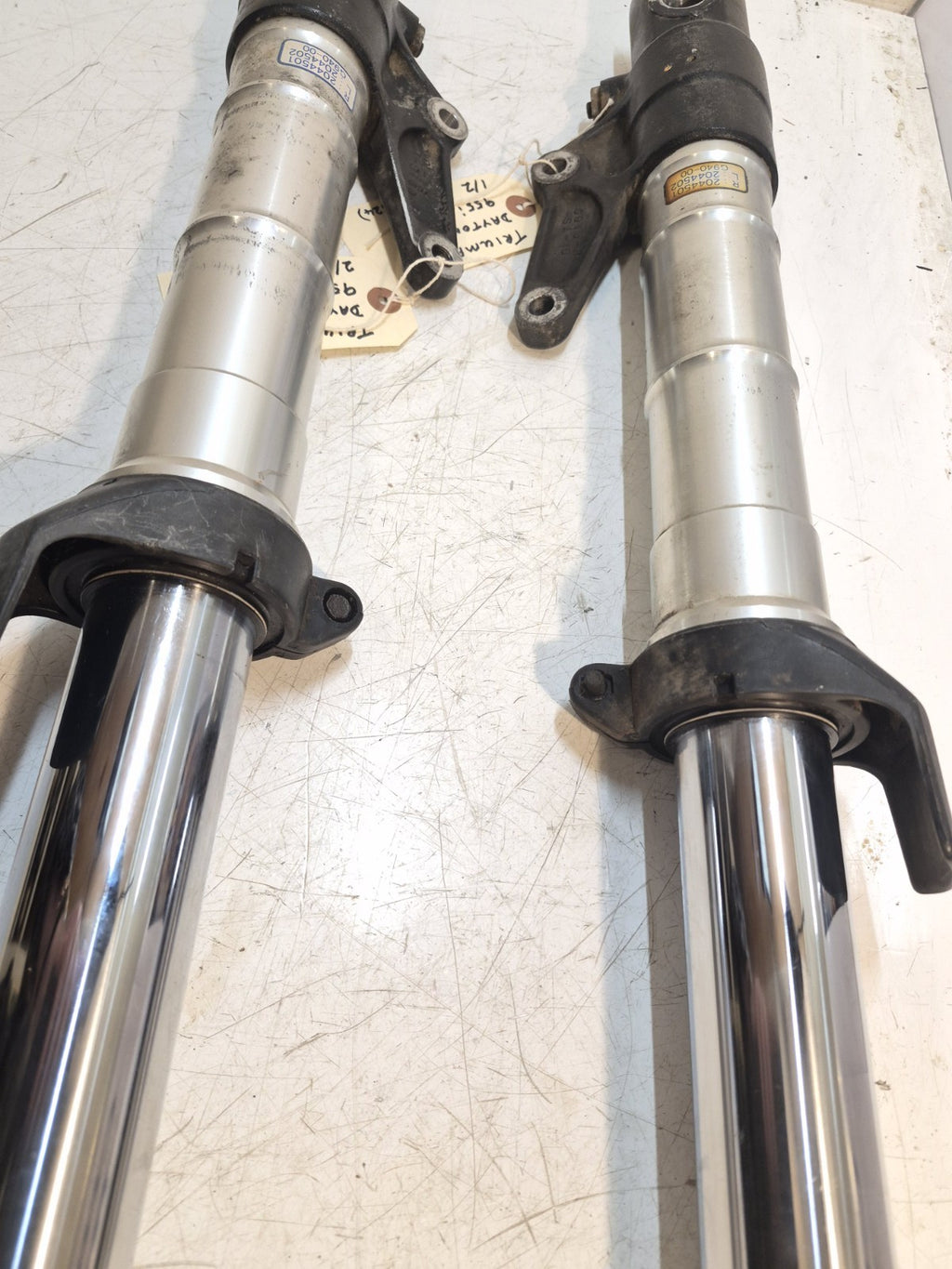Triumph Daytona 955i Forks, Pair