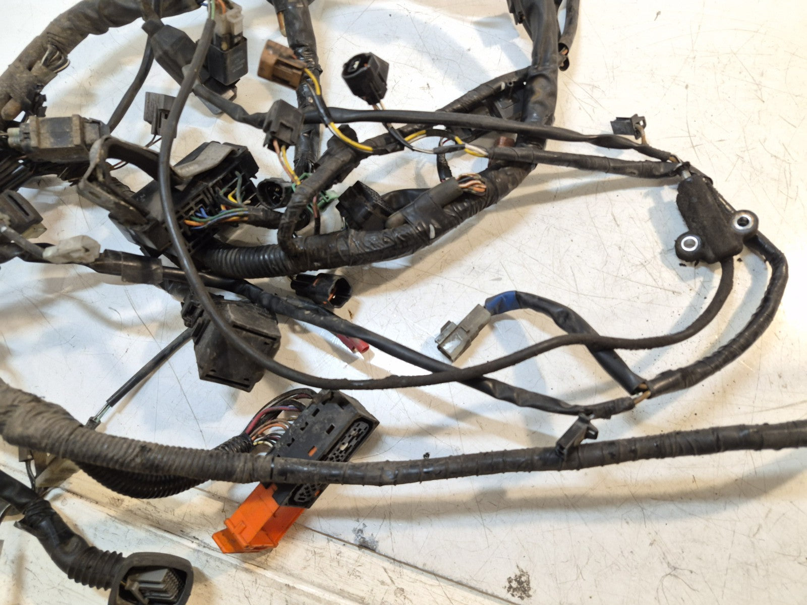 Suzuki GSF 1250 Bandit Loom / Wiring Harness