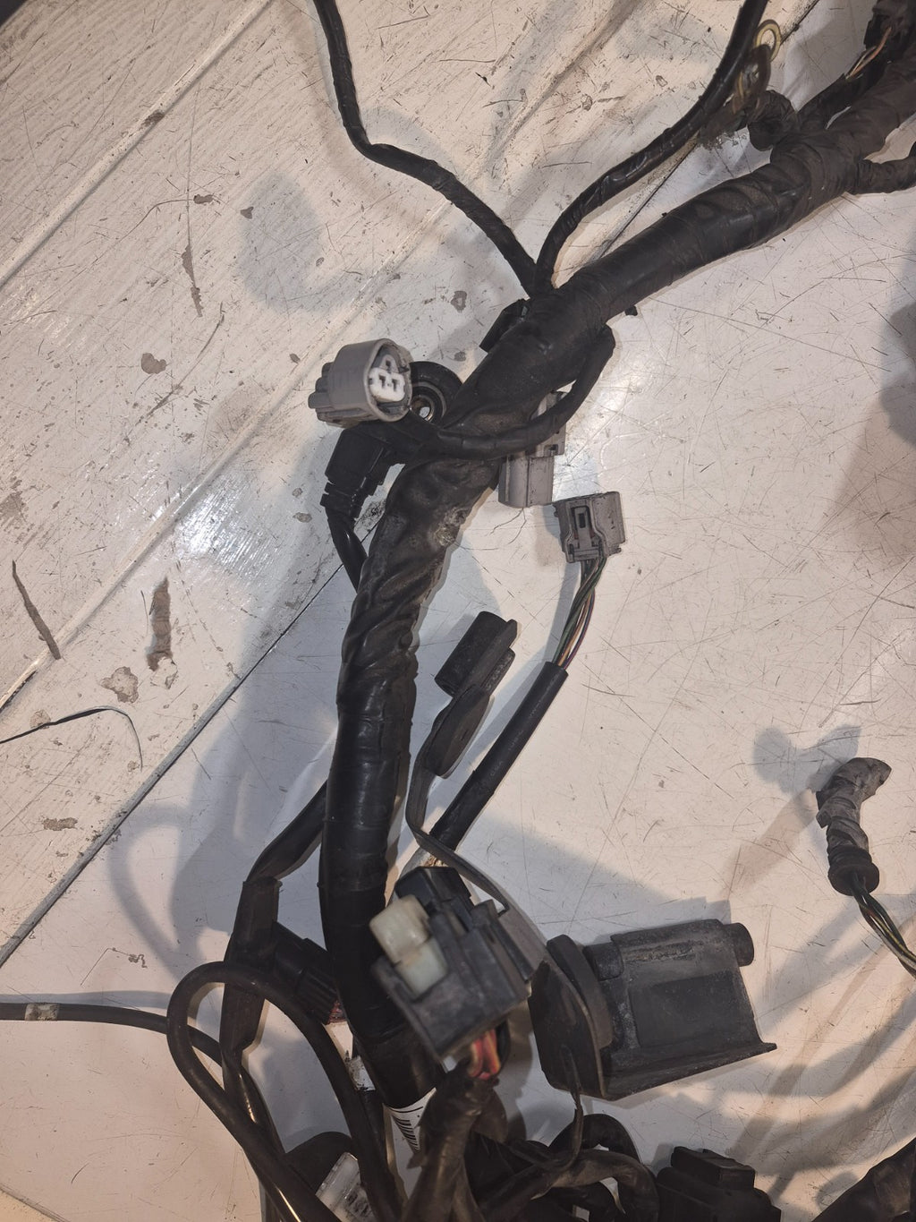 Honda CBF 1000 Loom / Wiring Harness