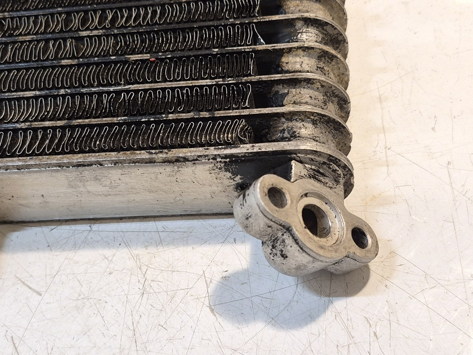 Honda CBR 1100 Blackbird Oil Cooler