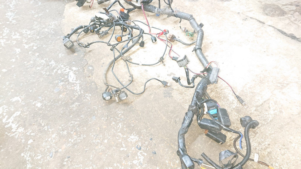 Kawasaki GTR /ZG 1400 Loom, Wiring Harness