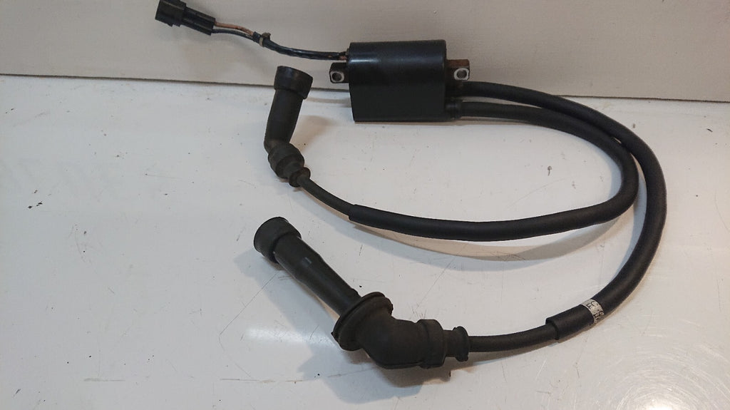 Suzuki DL 650 V STROM Ignition Coil