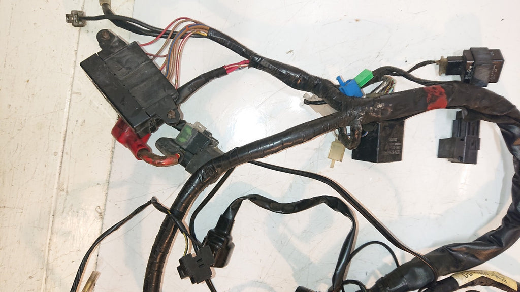 Yamaha FZS 600 FAZER Loom, Wiring Harness