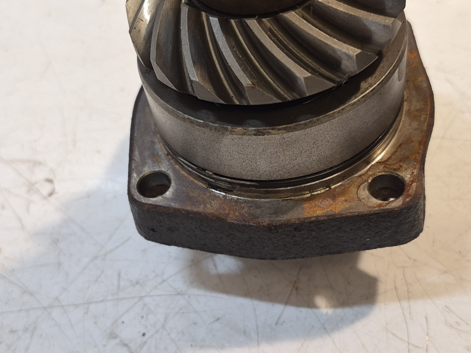Suzuki VX 800 Primary Drive