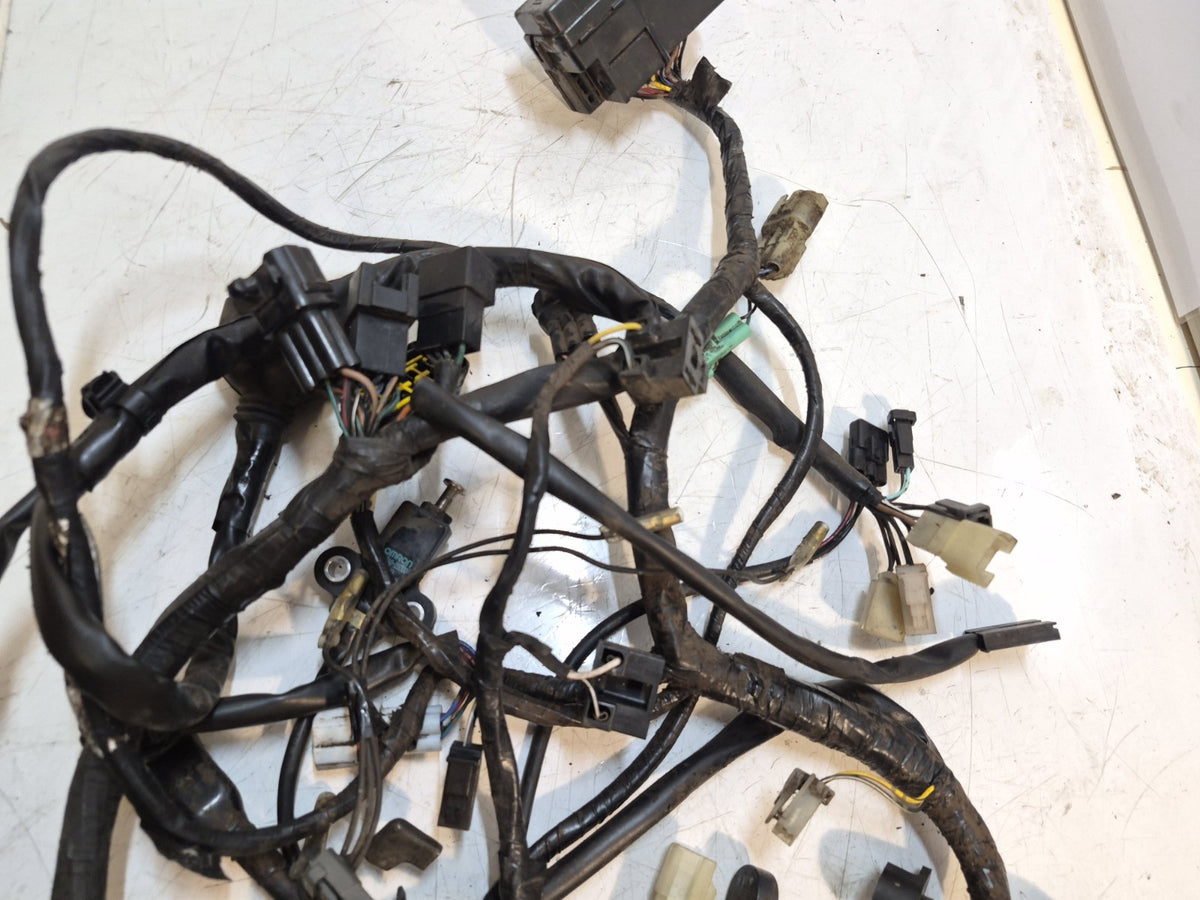 Suzuki GSF 650 Bandit Loom /Wiring Harness, ABS