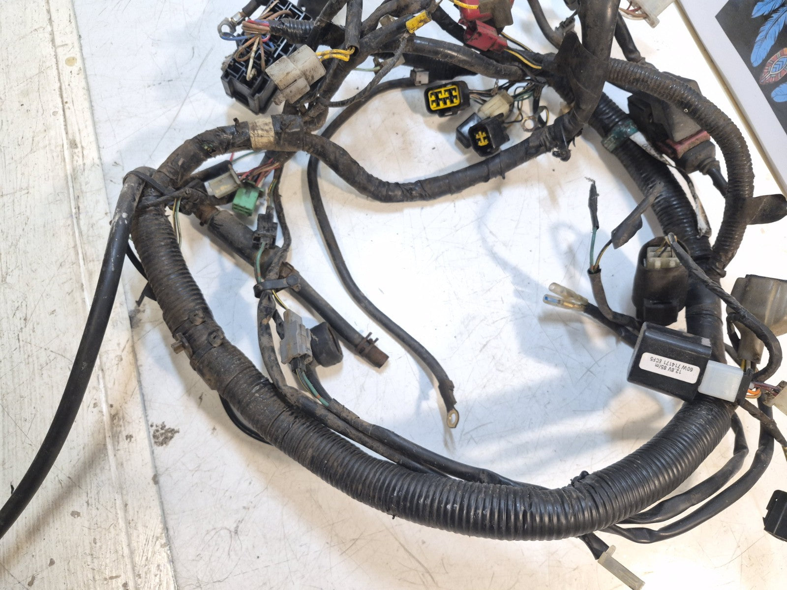 Kawasaki ER 5 Loom/Wiring Harness