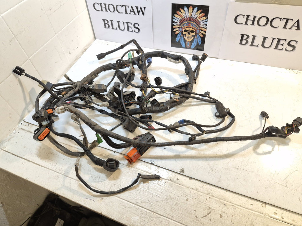 Suzuki GSF 1250 Bandit Loom / Wiring Harness
