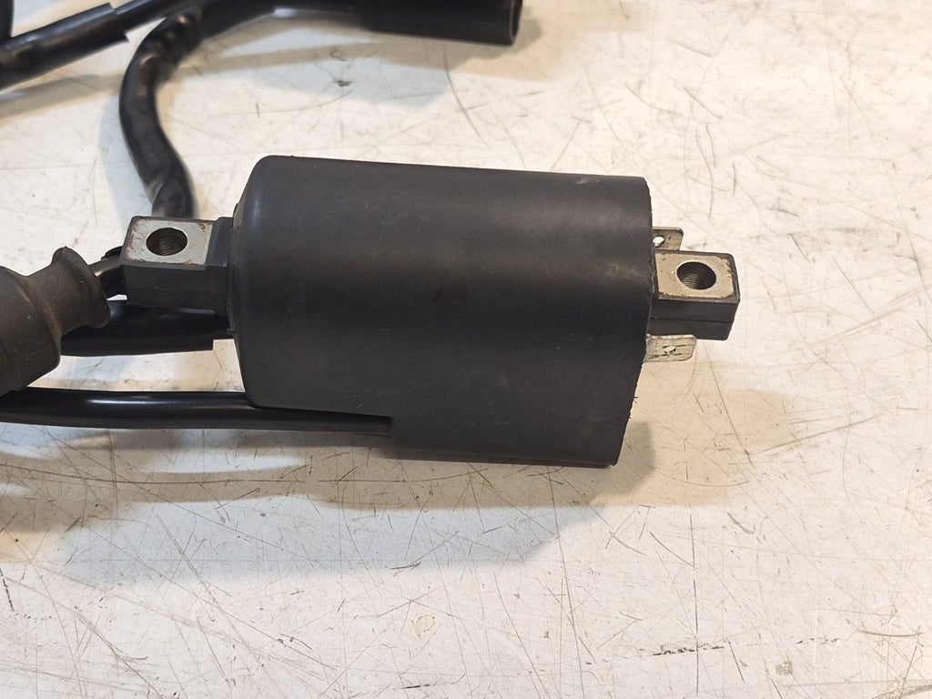 Suzuki GSF 1200 Bandit Mk2 Coils, Pair