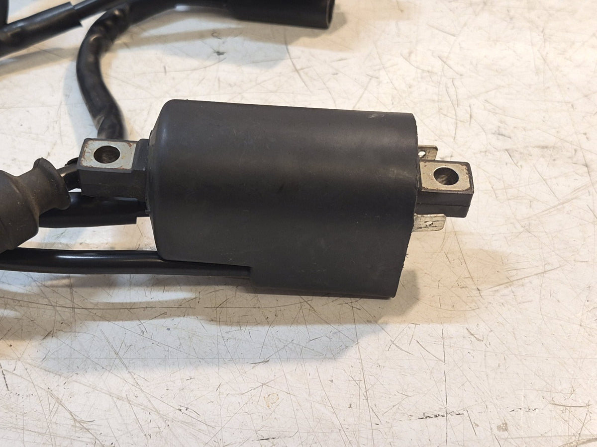 Suzuki GSF 1200 Bandit Mk2 Coils, Pair