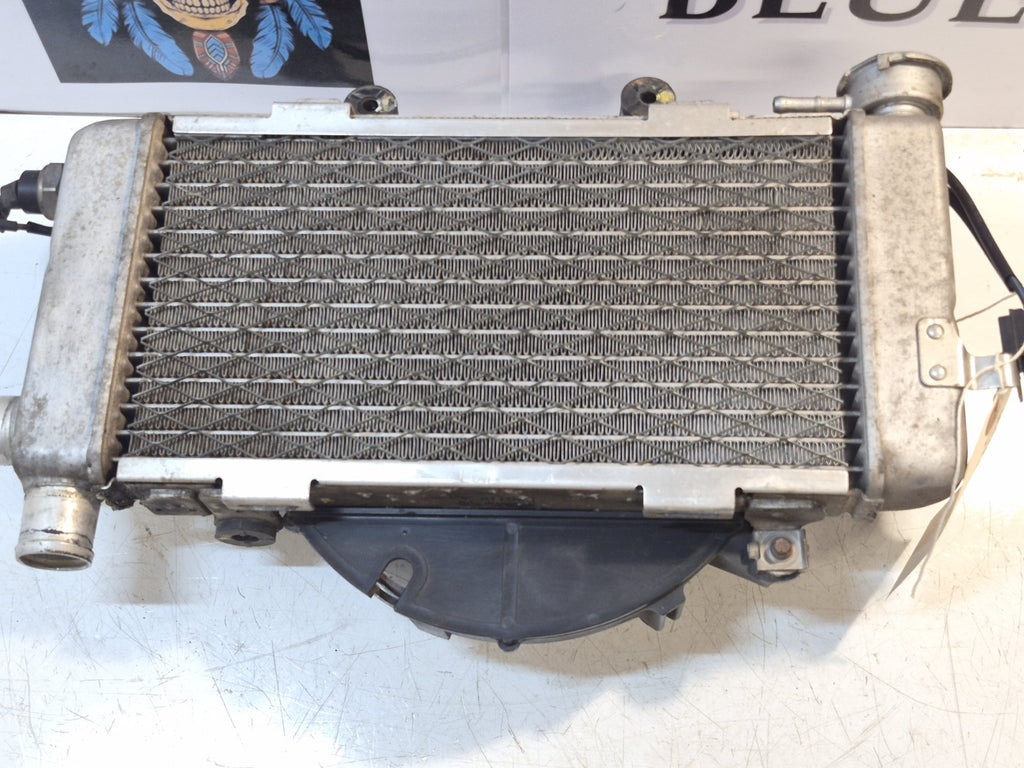 Honda VTR 1000 Firestorm Radiator And Fan