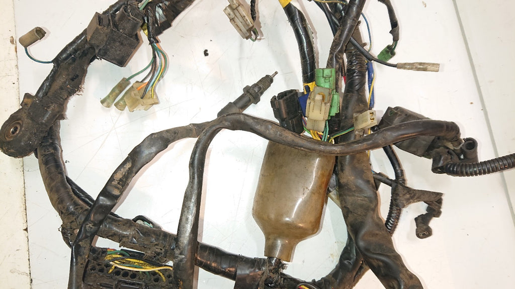 Honda CBF 500 Loom / Wiring Harness