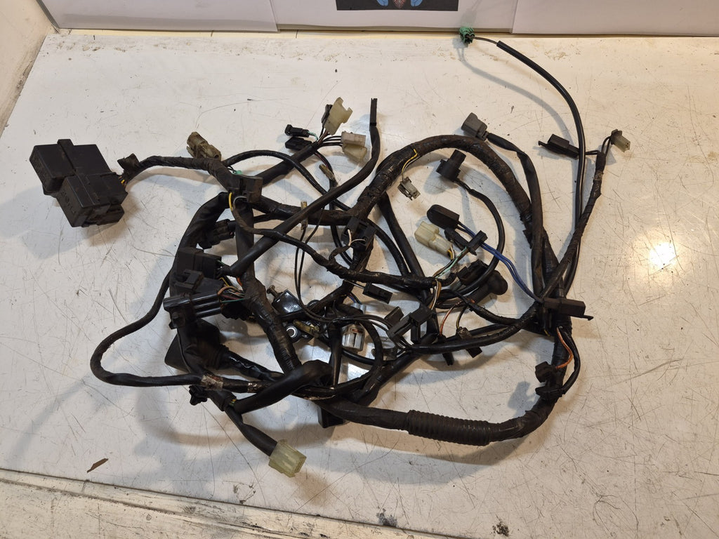 Suzuki GSF 650 Bandit Loom /Wiring Harness, ABS
