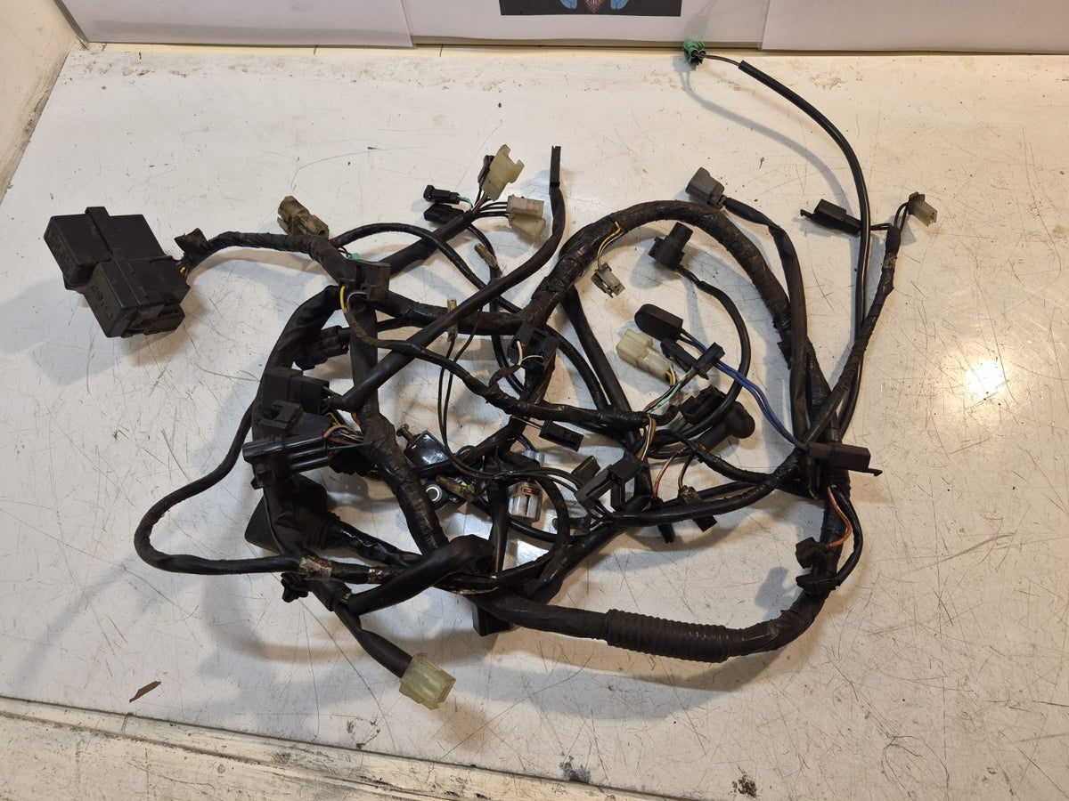 Suzuki GSF 650 Bandit Loom /Wiring Harness, ABS