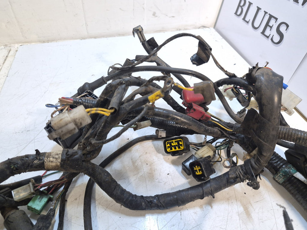 Kawasaki ER 5 Loom/Wiring Harness