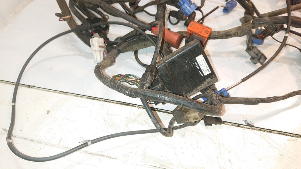 Suzuki GSF 650 Bandit Loom /Wiring Harness, ABS