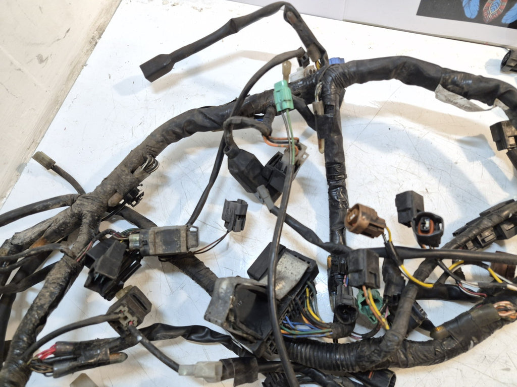 Suzuki GSF 1250 Bandit Loom / Wiring Harness