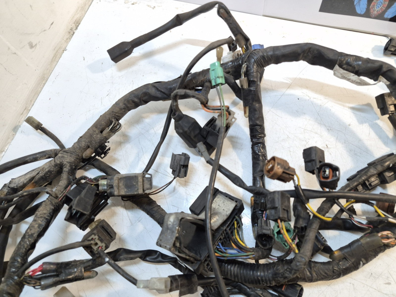 Suzuki GSF 1250 Bandit Loom / Wiring Harness