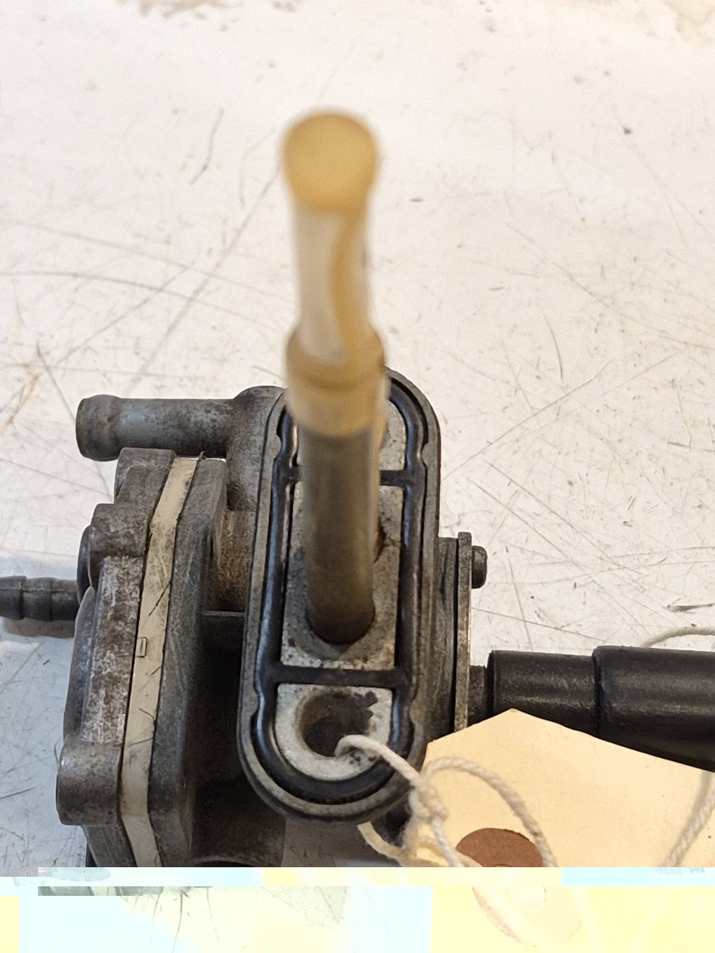 Suzuki GSF 600 Bandit Petlock/Fuel Tap