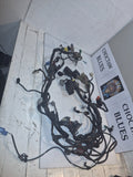 Honda CBF 1000 Loom / Wiring Harness