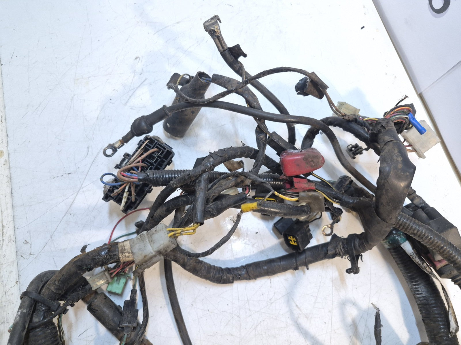 Kawasaki ER 5 Loom/Wiring Harness