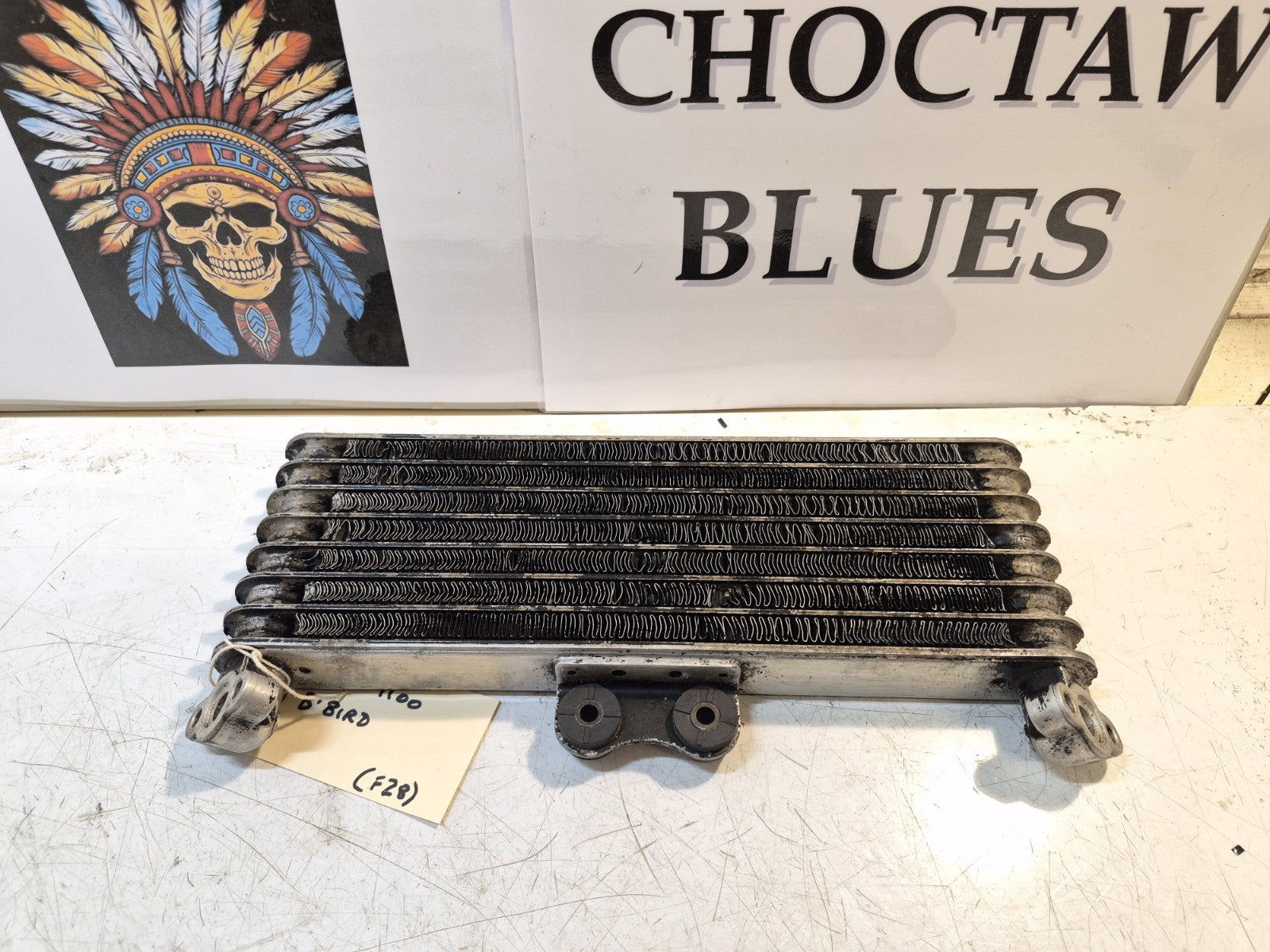 Honda CBR 1100 Blackbird Oil Cooler
