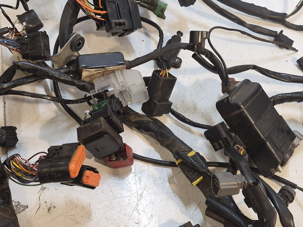 Suzuki SV 650s Gen 2 Loom/Wiring Harness