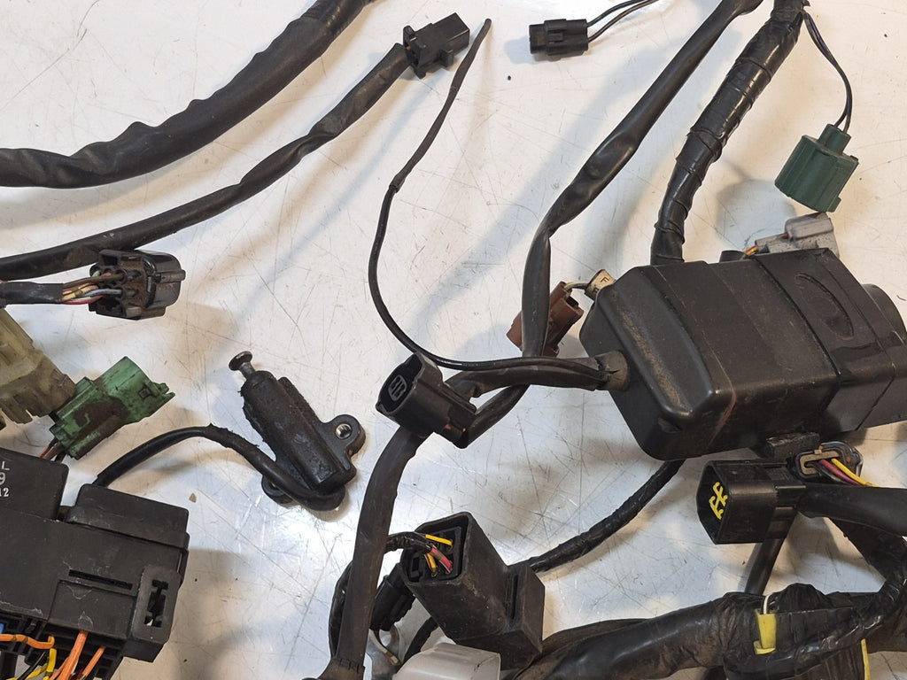 Suzuki SV 650s Gen 2 Loom/Wiring Harness