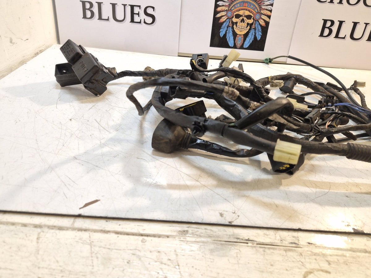 Suzuki GSF 650 Bandit Loom /Wiring Harness, ABS