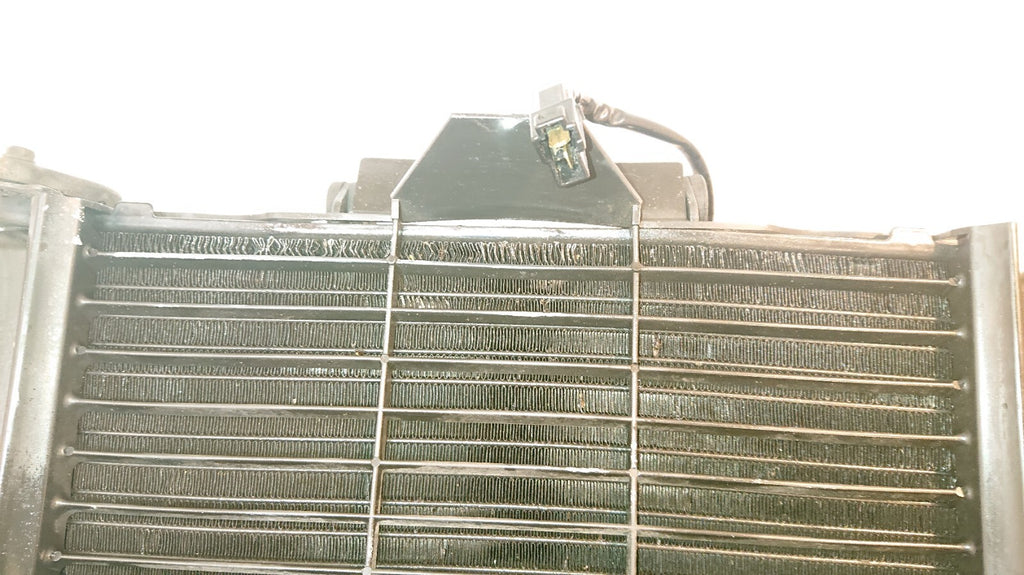 Yamaha FZ6 Fazer Radiator And Fan
