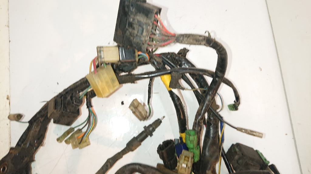 Honda CBF 500 Loom / Wiring Harness