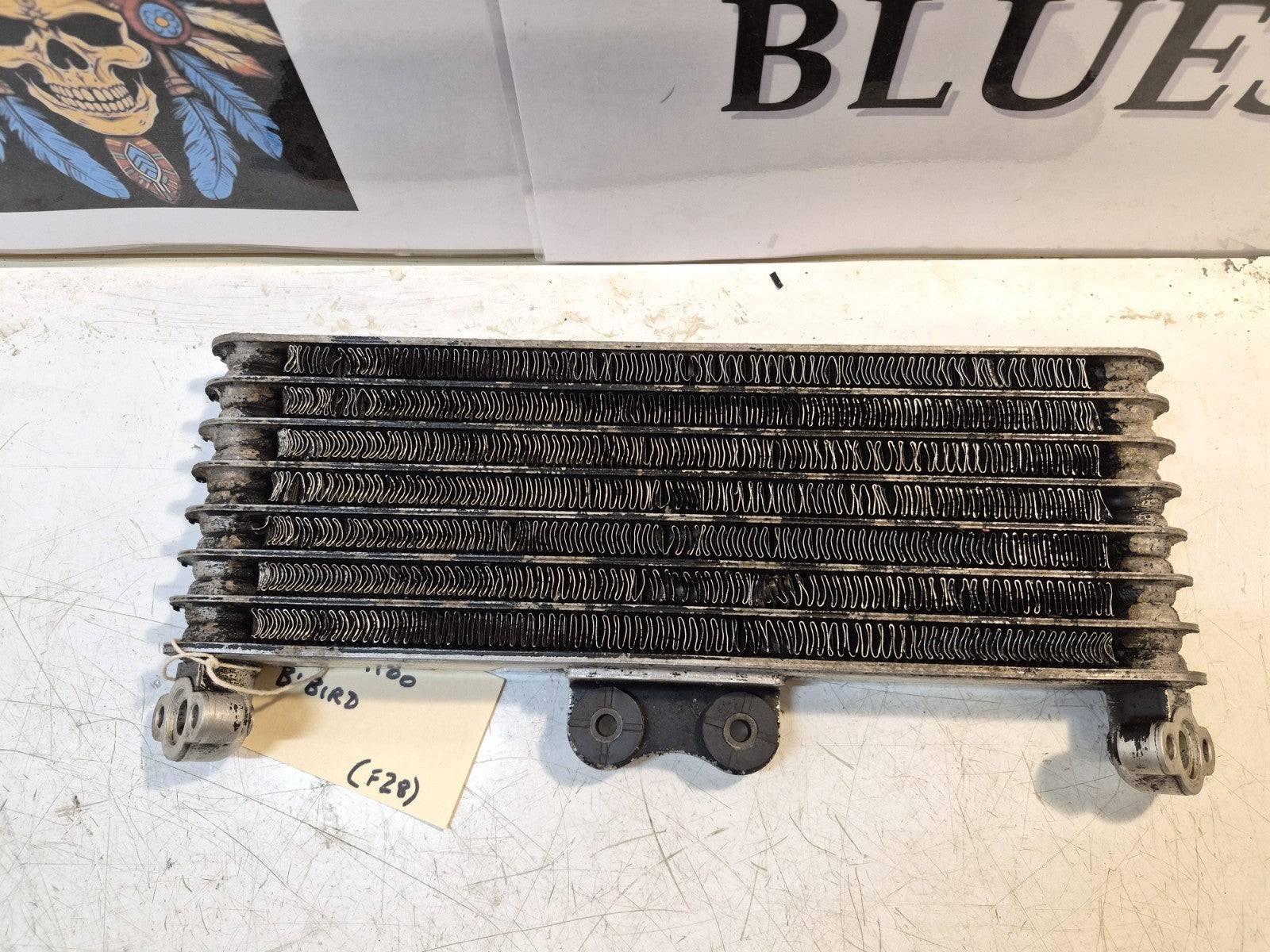 Honda CBR 1100 Blackbird Oil Cooler