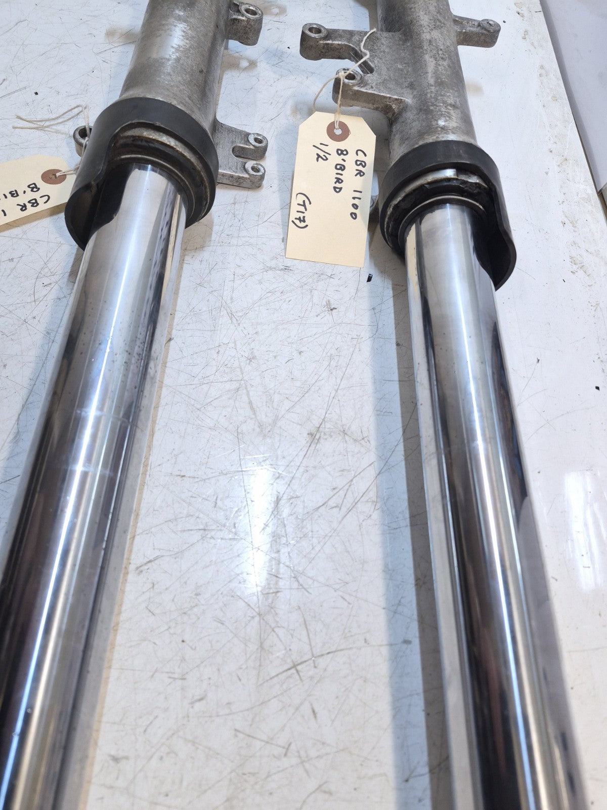 Honda CBR 1100 Blackbird Forks, Pair