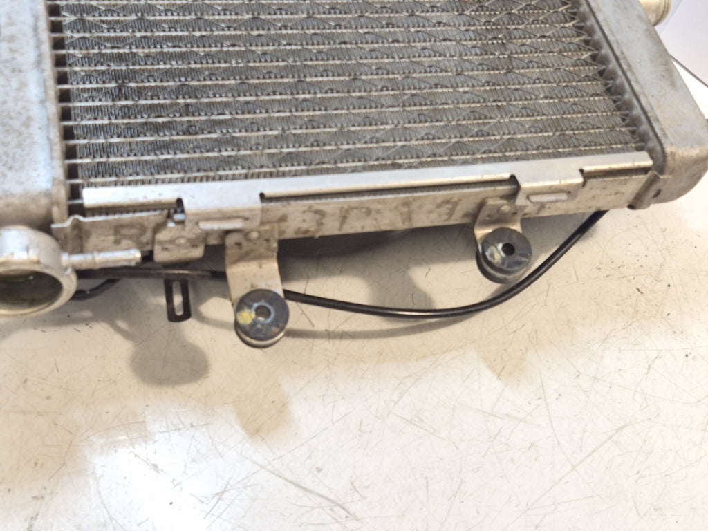 Honda VTR 1000 Firestorm Radiator And Fan