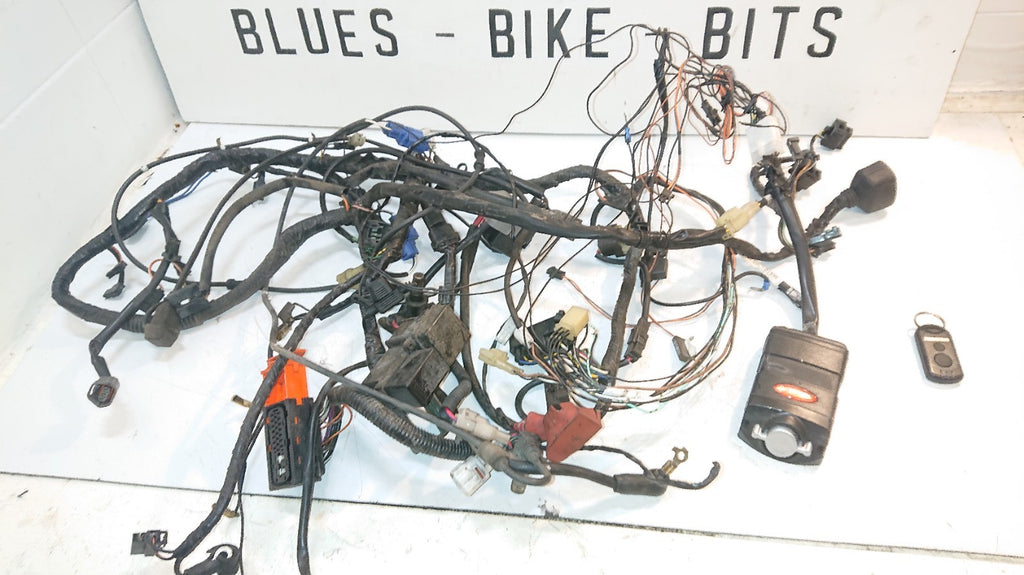 Suzuki GSF 650 Bandit Loom, Wiring Harness, Alarm, Fob