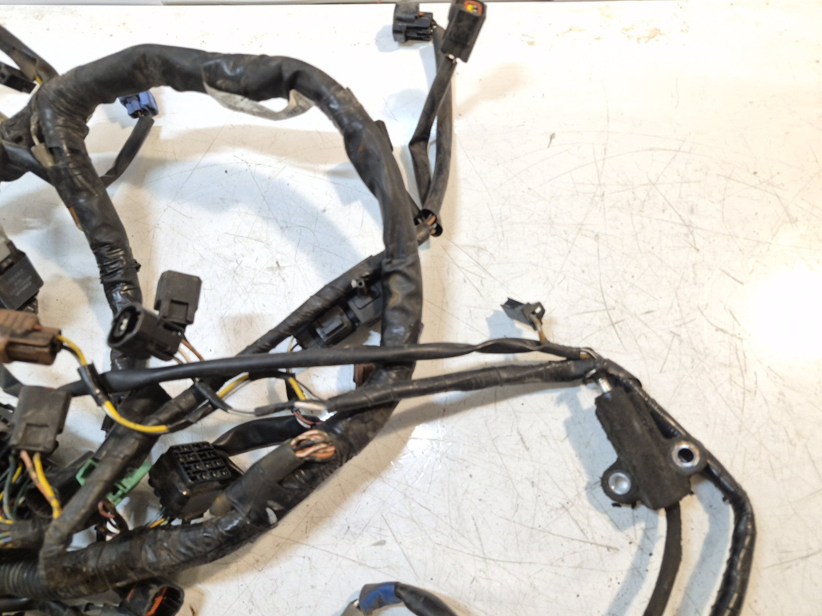 Suzuki GSF 1250 Bandit Loom / Wiring Harness