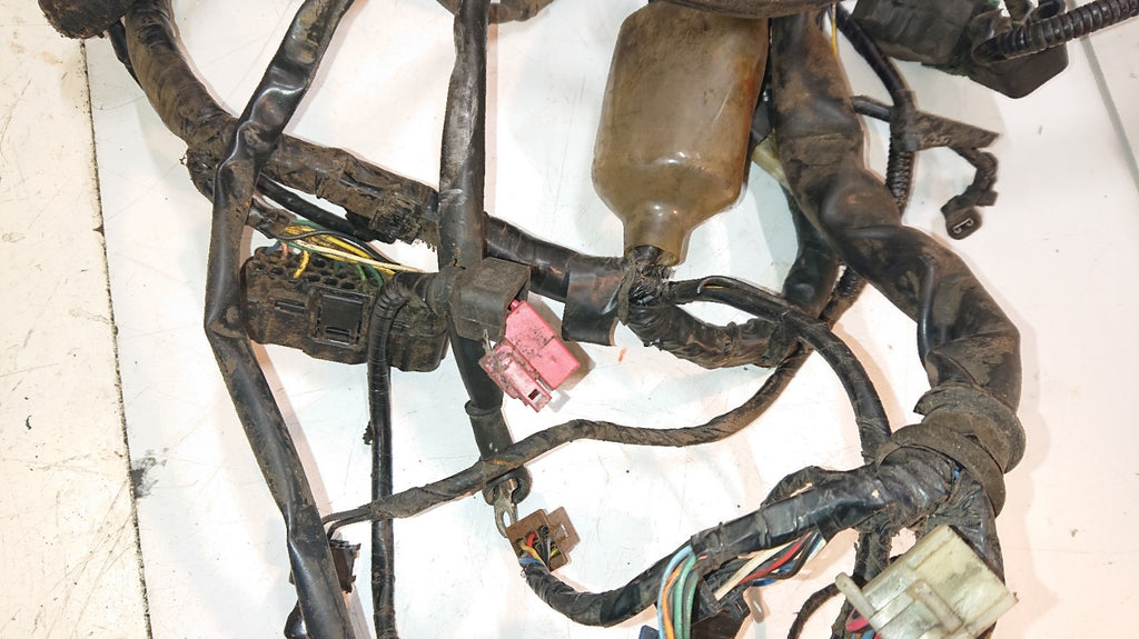 Honda CBF 500 Loom / Wiring Harness