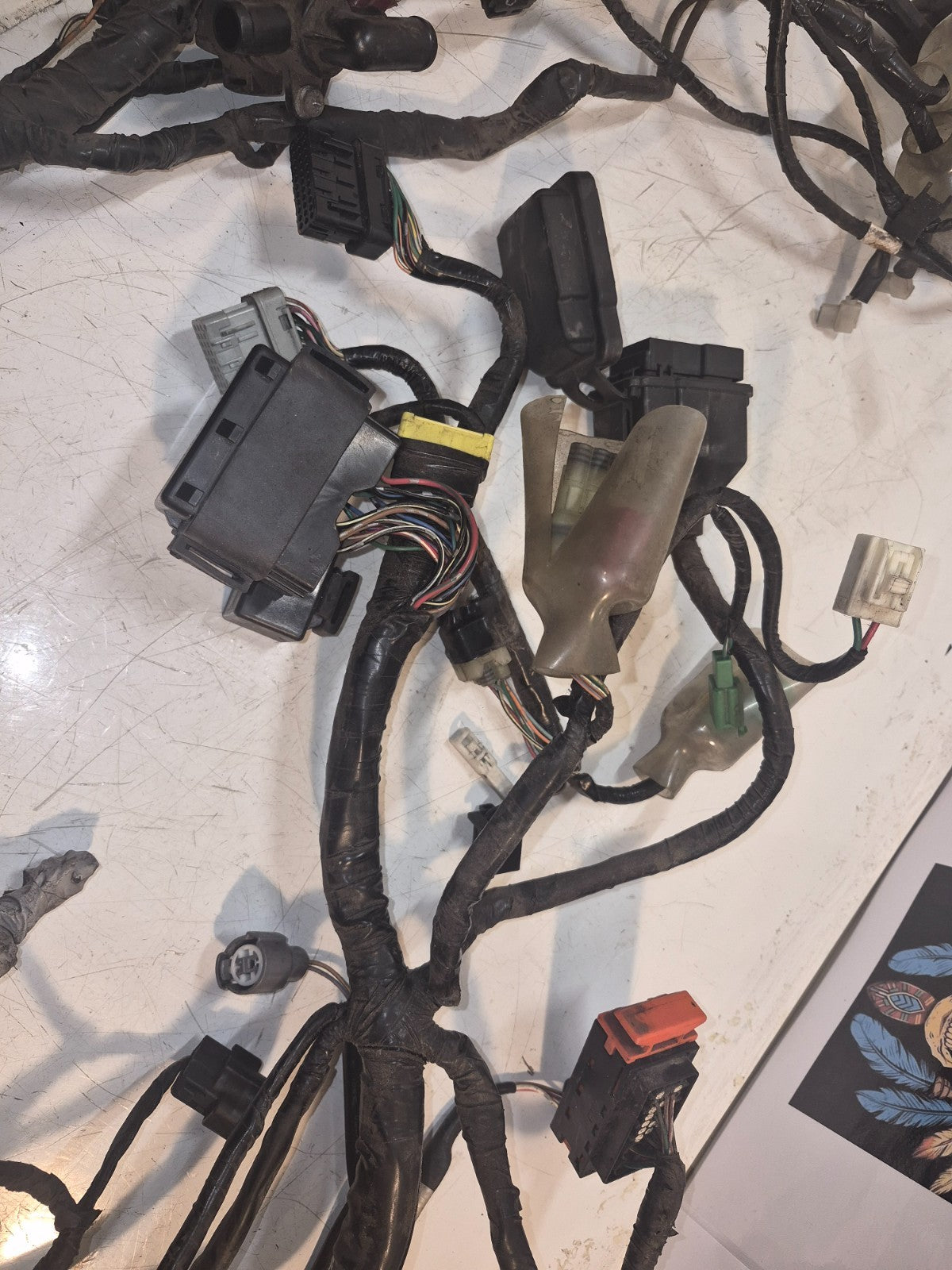 Honda CBF 1000 Loom / Wiring Harness