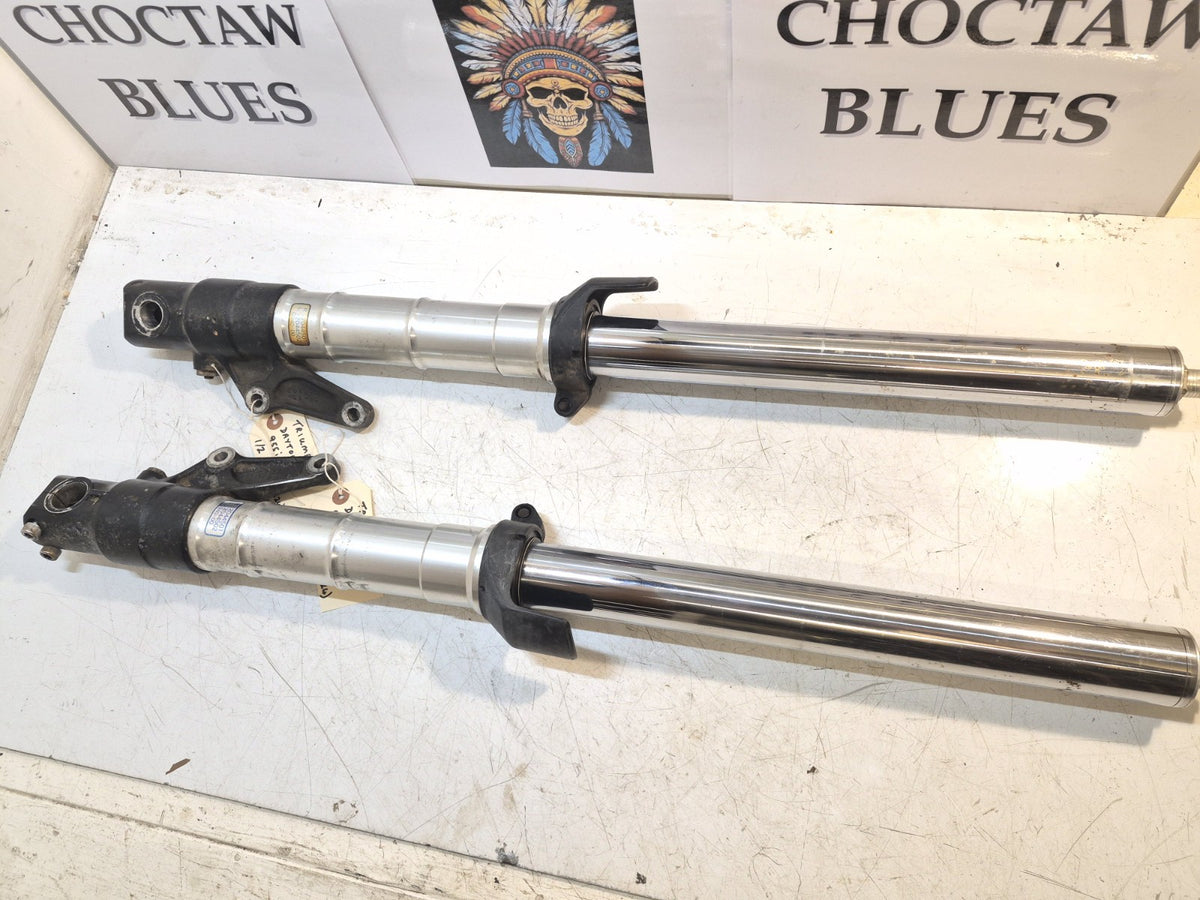 Triumph Daytona 955i Forks, Pair
