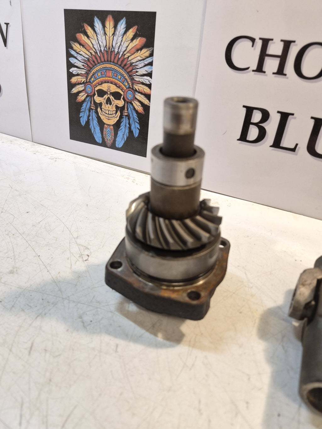 Suzuki VX 800 Primary Drive