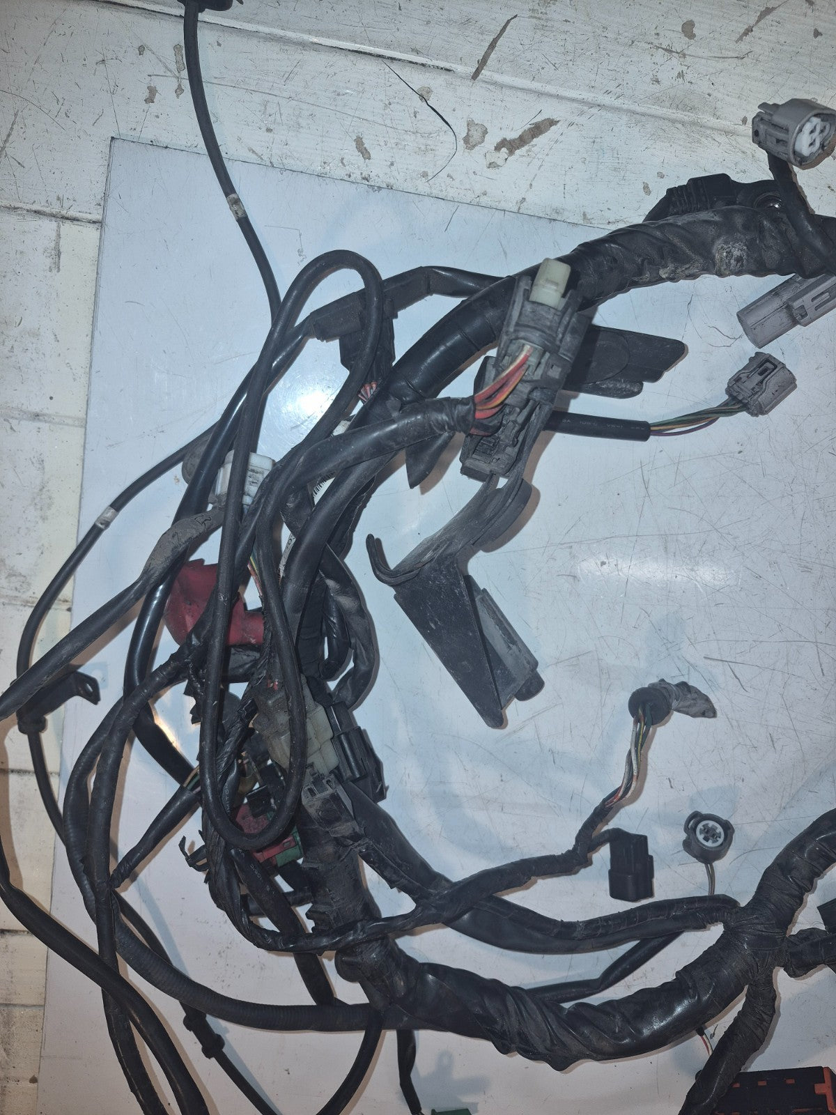 Honda CBF 1000 Loom / Wiring Harness