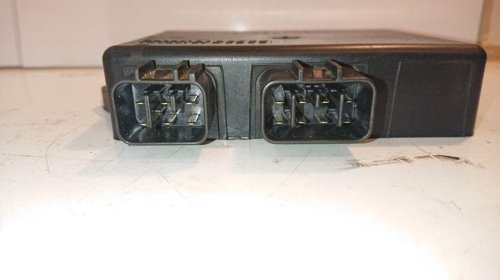Yamaha FZS 600 FAZER ECU