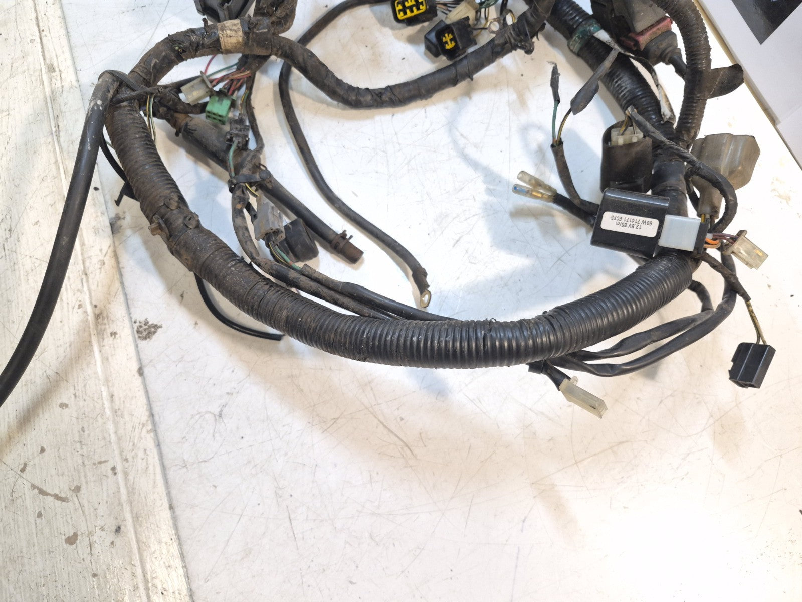 Kawasaki ER 5 Loom/Wiring Harness