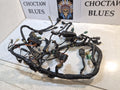 Suzuki SV 650s Gen 2 Loom/Wiring Harness