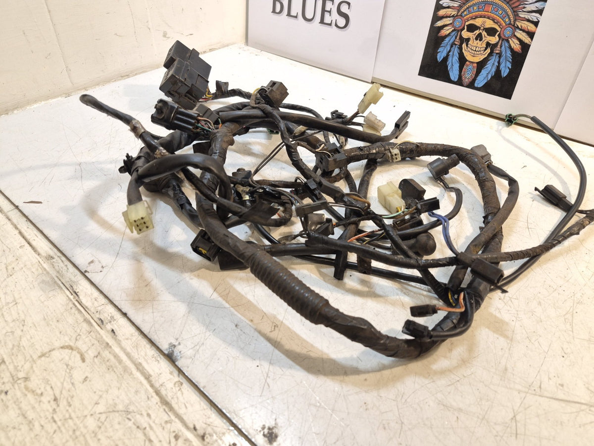 Suzuki GSF 650 Bandit Loom /Wiring Harness, ABS
